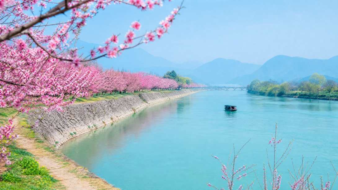 桃花与江水 江堤桃林 春水碧色 春日江景 4K壁纸