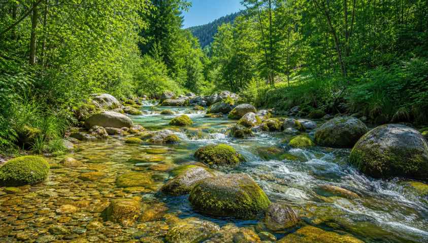 夏日溪水 石头苔藓 清澈流水 冰凉感 清新风景 4K壁纸