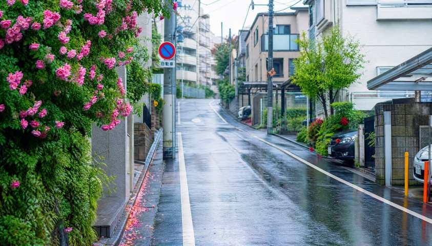 日系街巷雨后 湿润路面 行道繁花 清新都市 4K壁纸