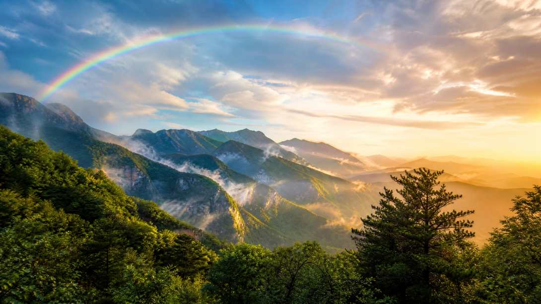 雨后山峦与山间彩虹 湿润林木 霞光漫山 清新自然 4K壁纸