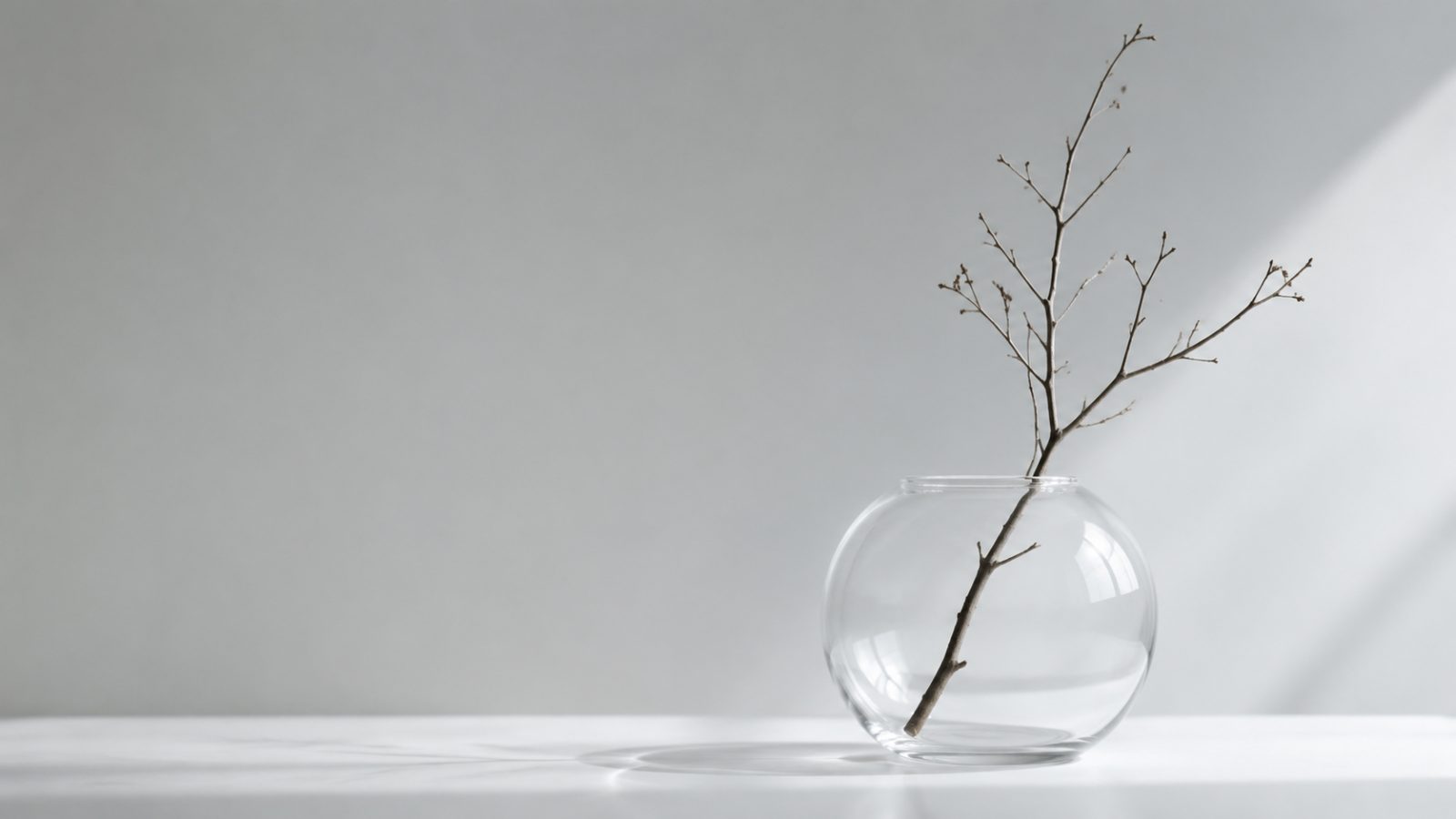 极简壁纸，浅灰色背景，一个圆形透明玻璃花瓶，插一根枯枝，光影柔和，留白大量，超高清